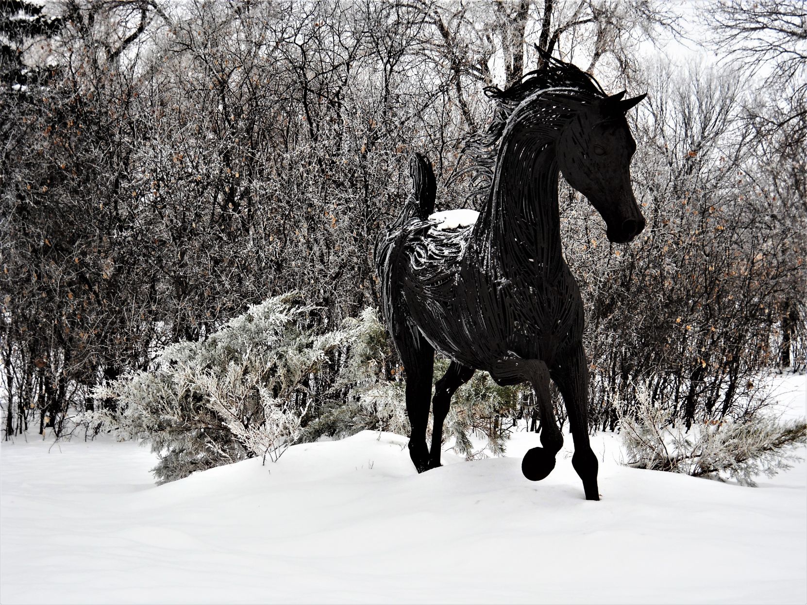 Majestic sculpture